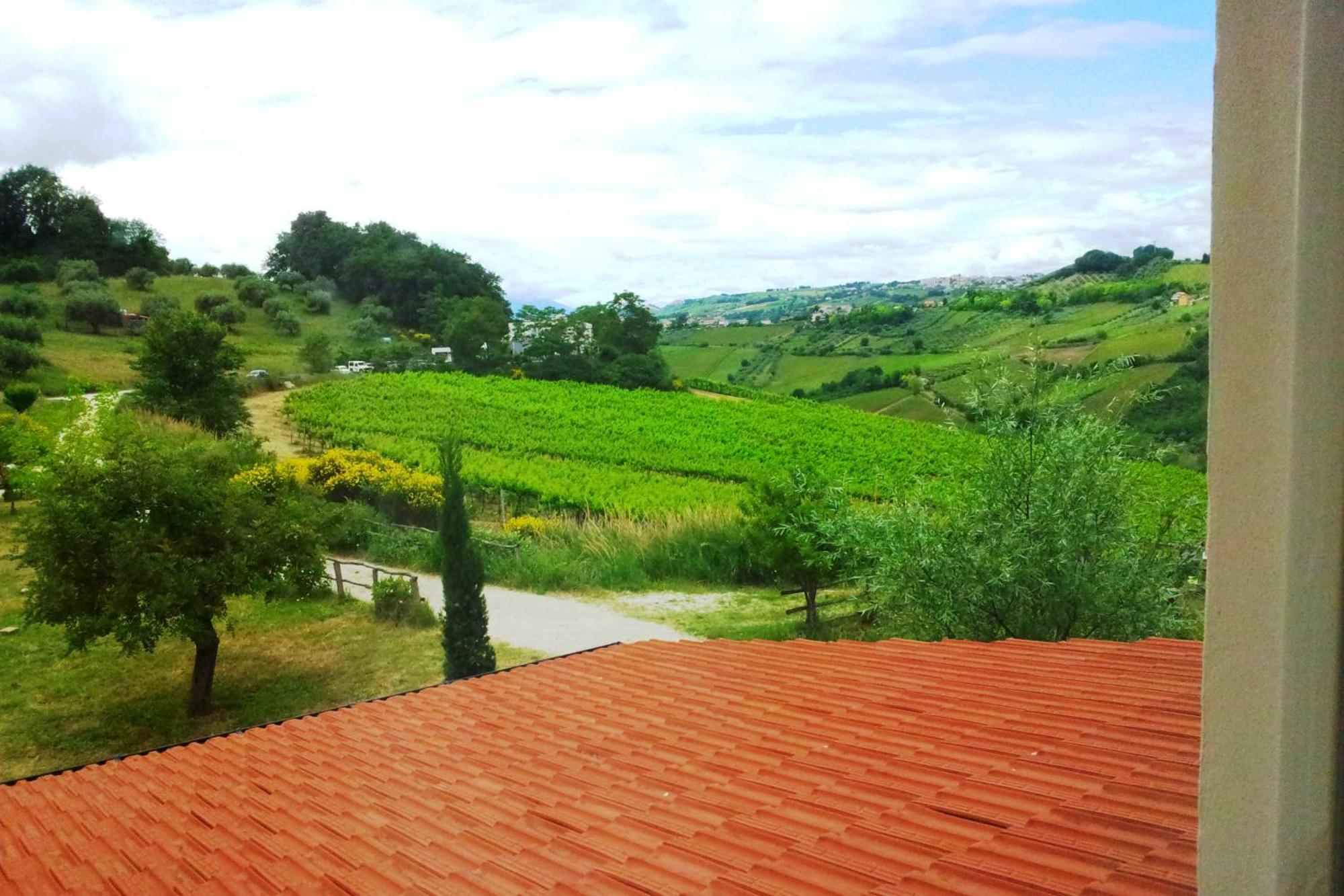 Agriturismo Campoletizia Miglianico Zimmer foto