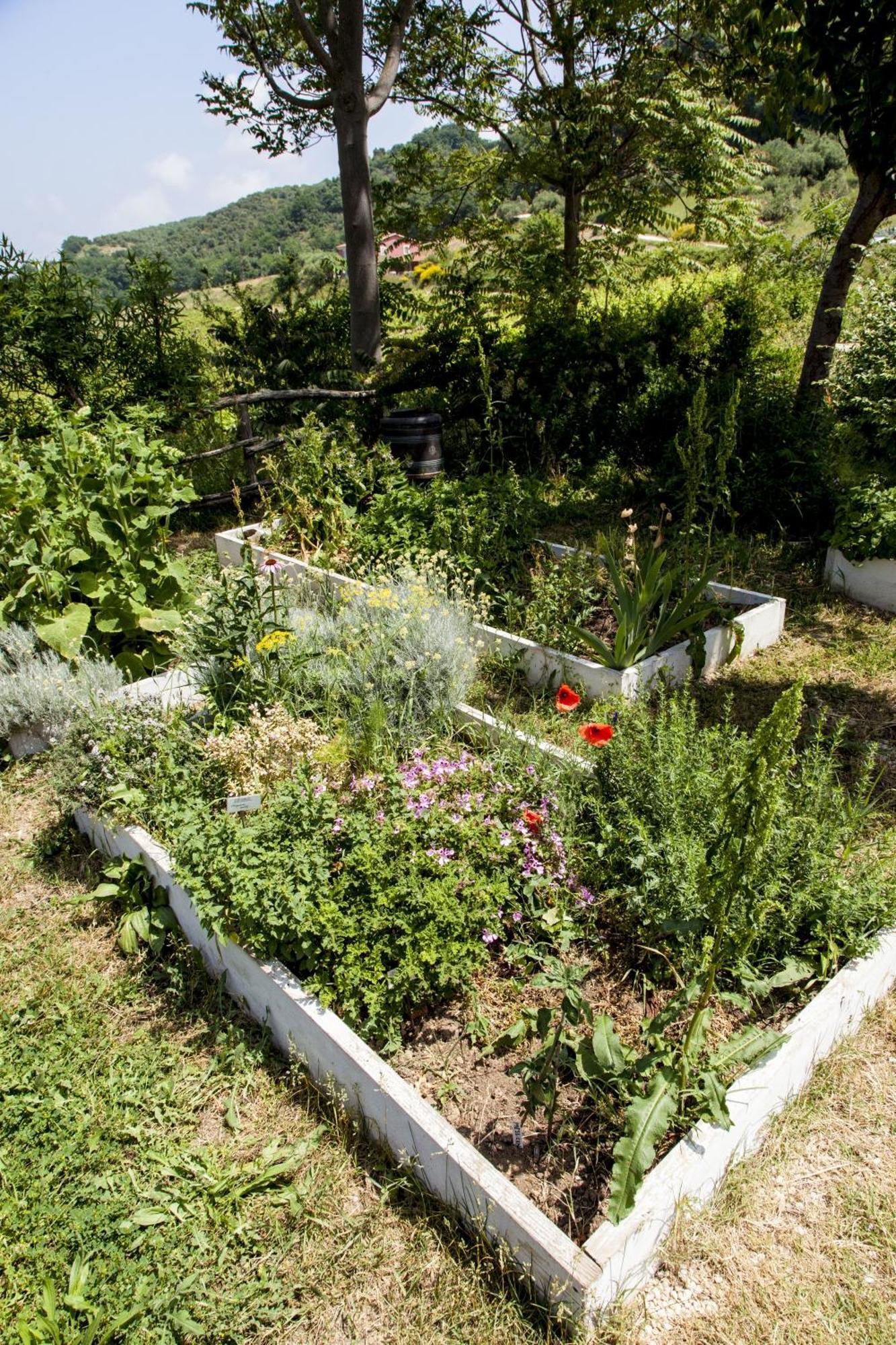 Agriturismo Campoletizia Miglianico Exterior foto