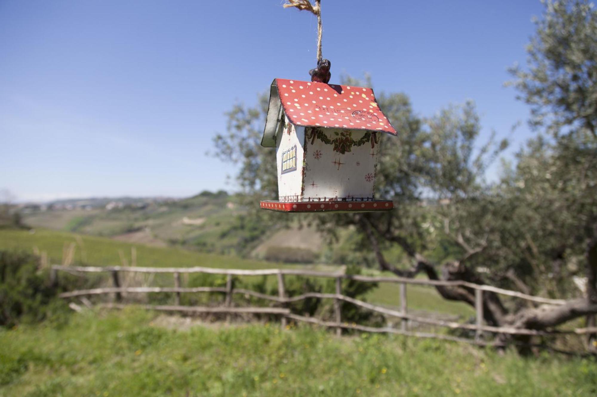 Agriturismo Campoletizia Miglianico Exterior foto