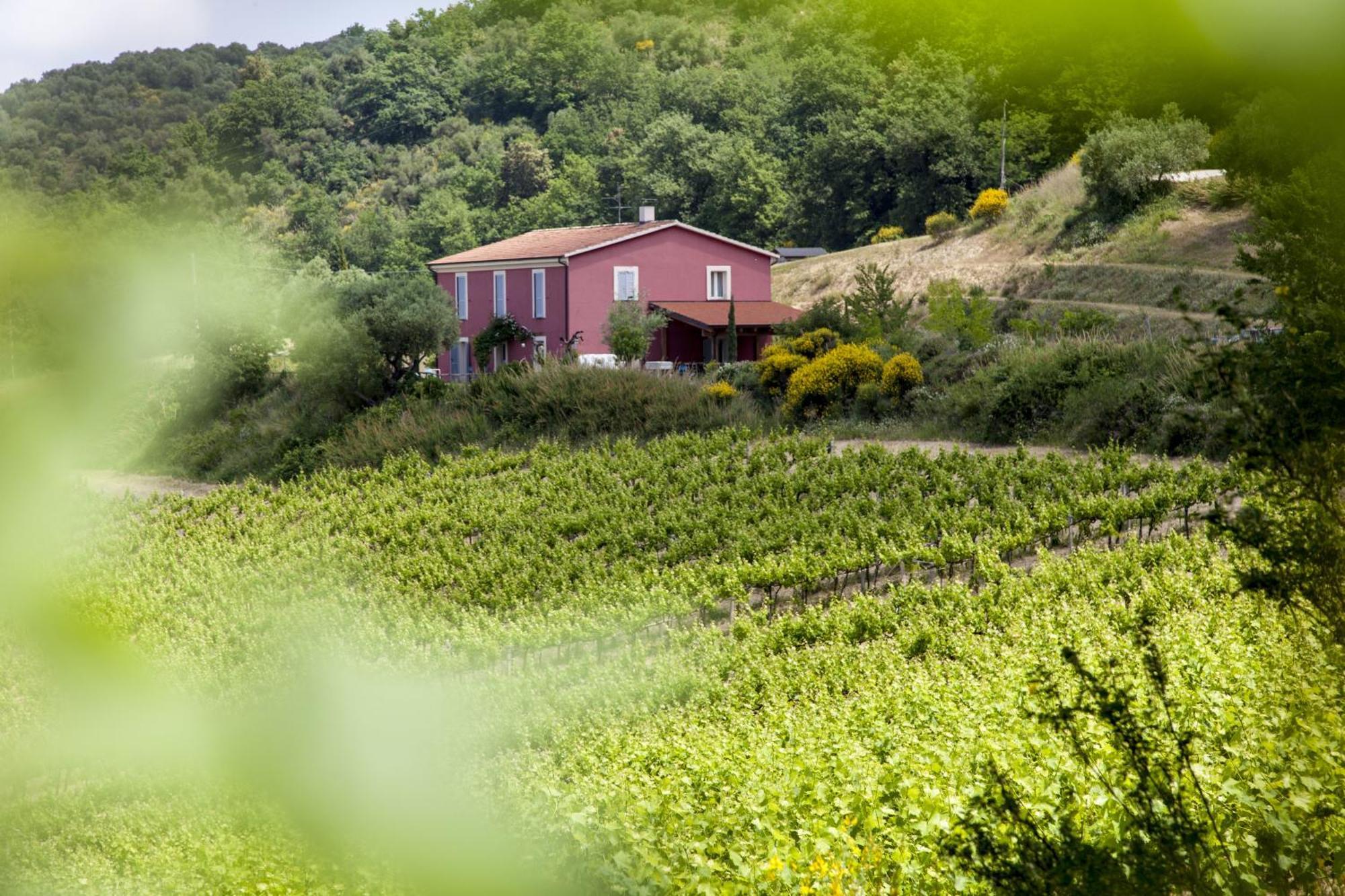 Agriturismo Campoletizia Miglianico Exterior foto