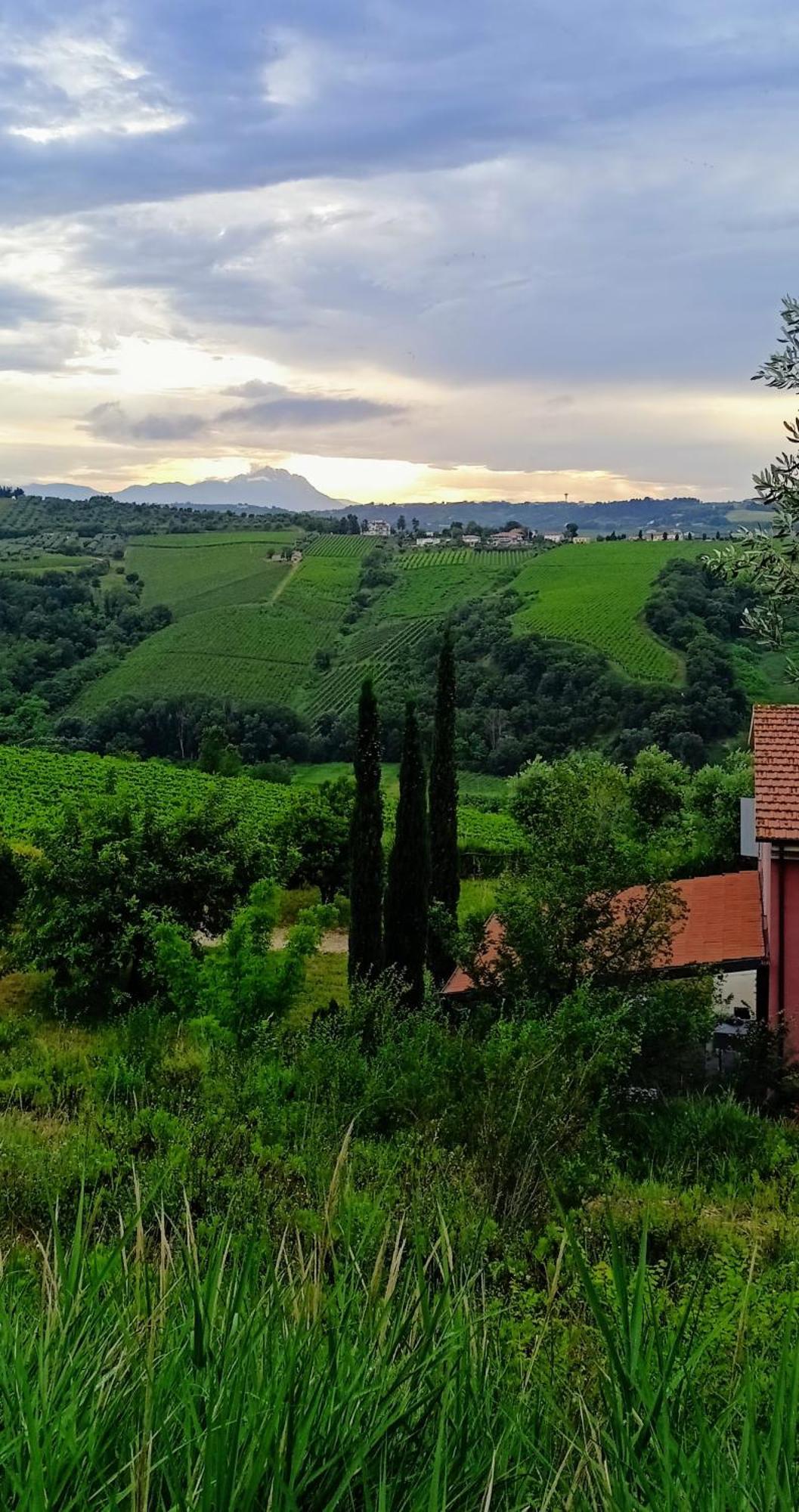 Agriturismo Campoletizia Miglianico Exterior foto