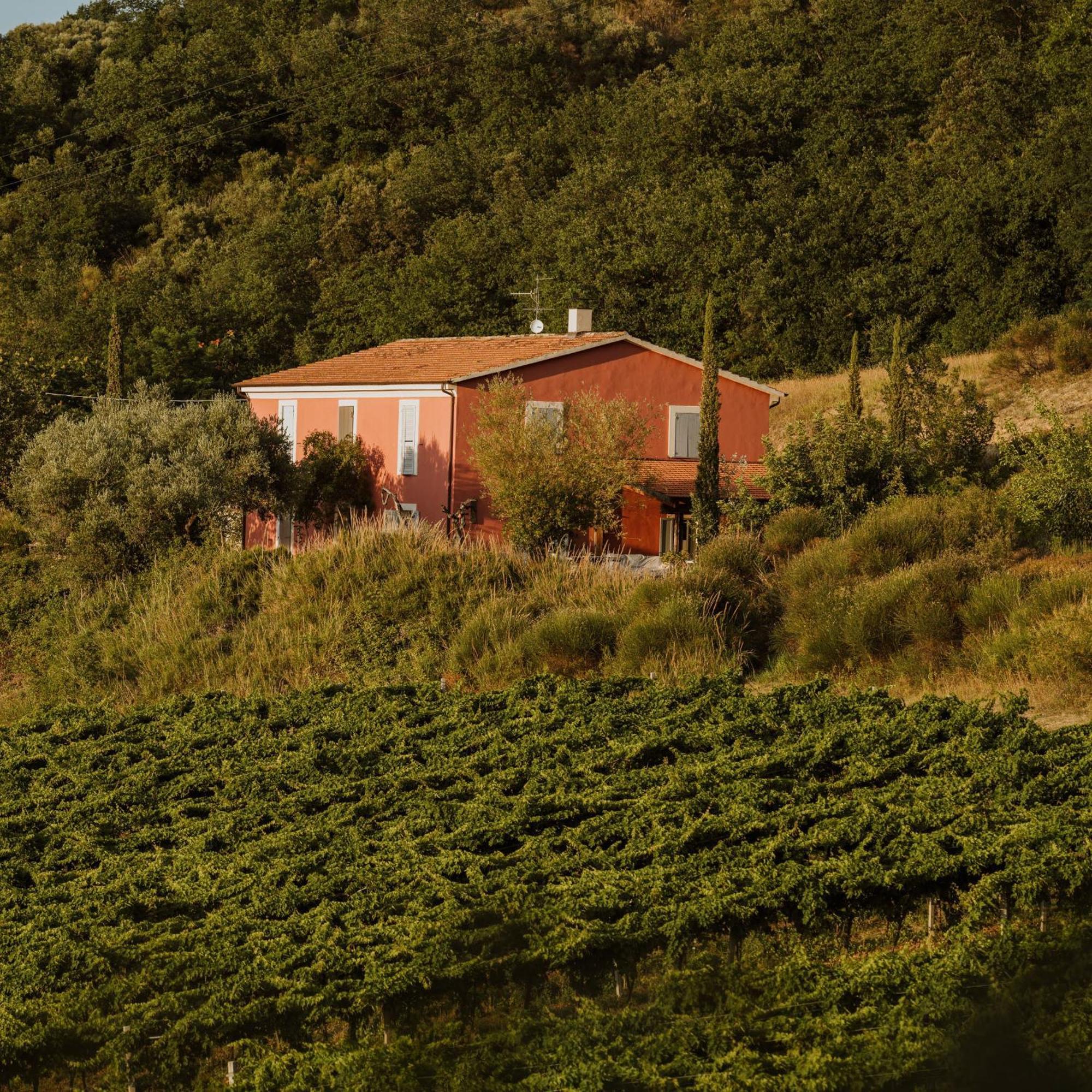 Agriturismo Campoletizia Miglianico Exterior foto